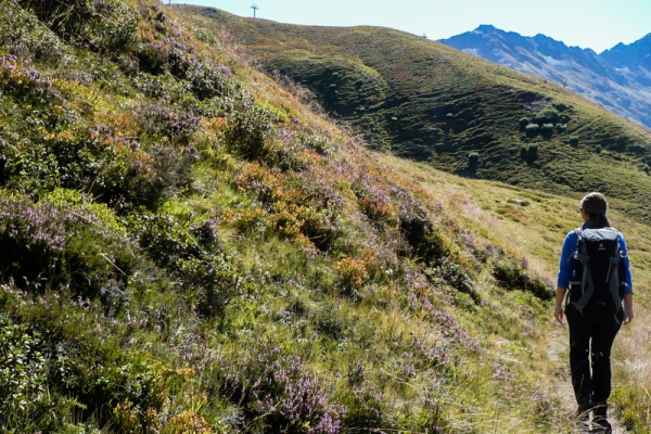 Au-delà de la forêt 