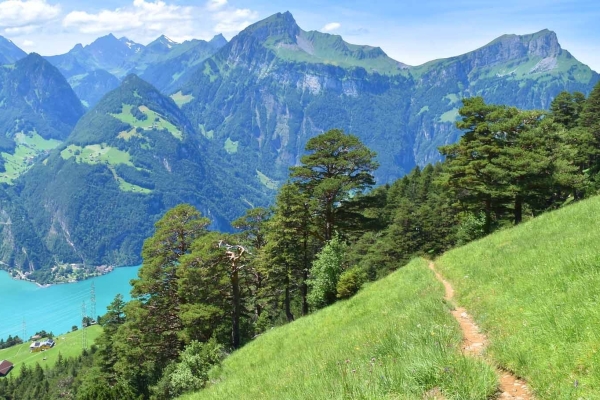 Aus dem Riemenstaldner Tal zum Oberaxen