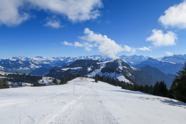 Hoch über dem Vierwaldstättersee