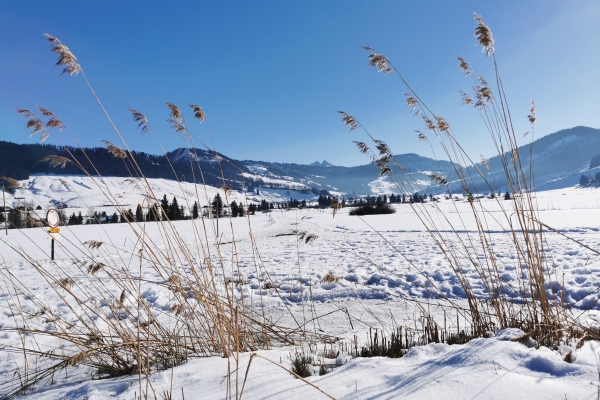 1. Schwyzer Winter unter den Füssen