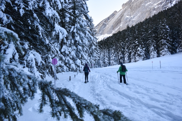 Auf die verschneite Alp Solalex