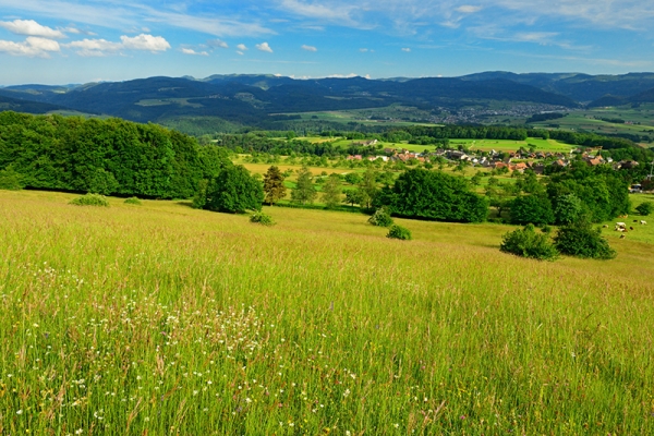 Ecorcheuse en région bâloise