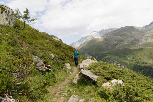 Initiation à la vie alpine au-dessus de Zinal