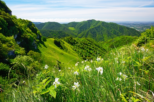 Aria di primavera nel sud del Ticino