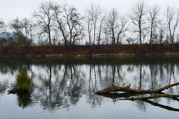 Le long des rivières