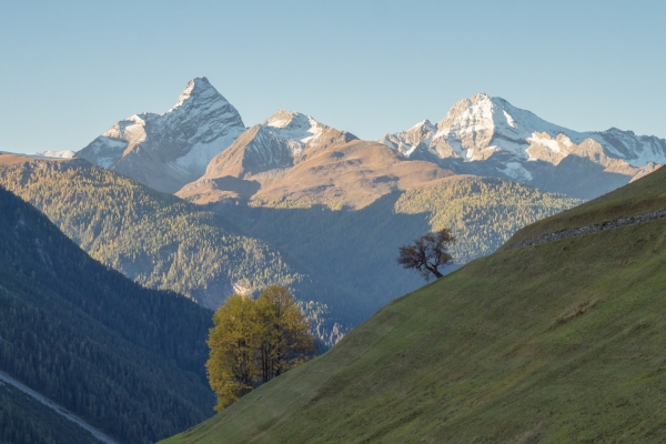 Vues grandioses à l’alpe Wiesner