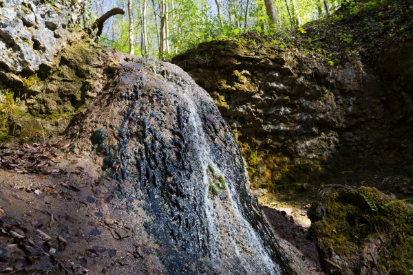 Historische Wanderung zur Eisernen Hand am Basler Rheinknie