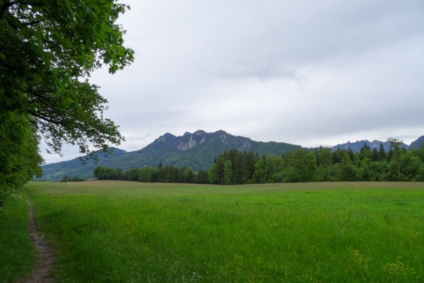 Le long de la Sarine, au cœur des Préalpes fribourgeoises