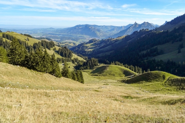 Wanderung auf die Vudalla im Naturpark Gruyère Pays-d’Enhaut