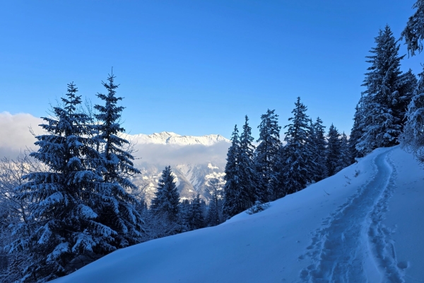 Schneeschuhwanderung im Gebiet Brisen