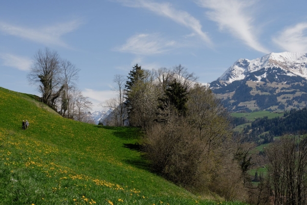 À la découverte du patrimoine bâti local du Bas-Simmental