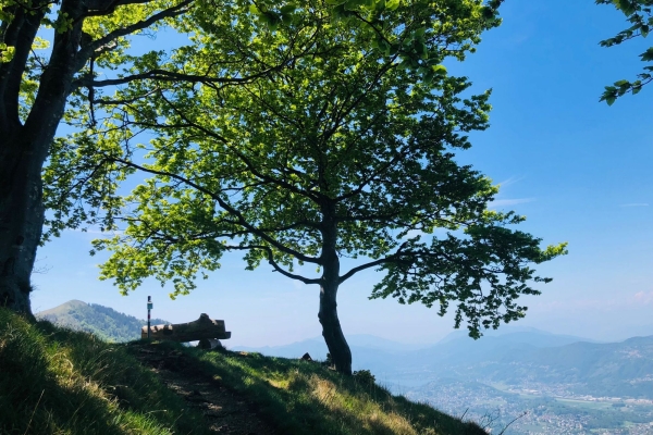 Denti della Vecchia