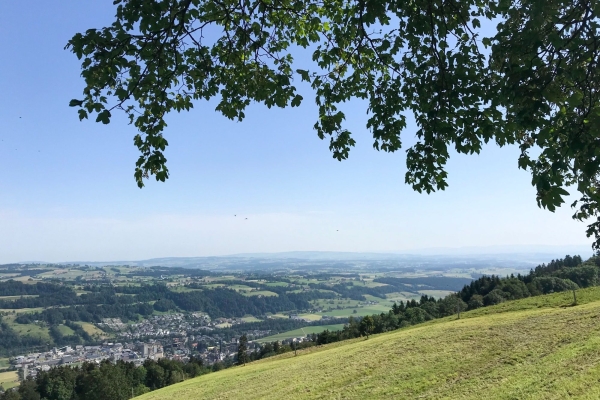 Familienwanderung durch eine Drumlinlandschaft