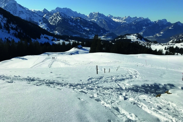 Über die Vorder Höhi, Mehrjahrestour Teil 2