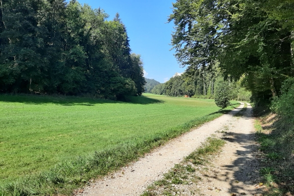 Von Hemmental in das Orserental