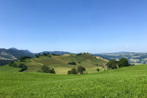 Familienwanderung durch eine Drumlinlandschaft