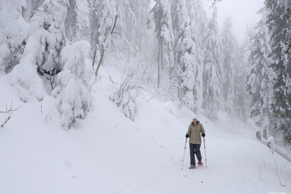 Belles vues lors d'un tour en raquettes dans le Jura