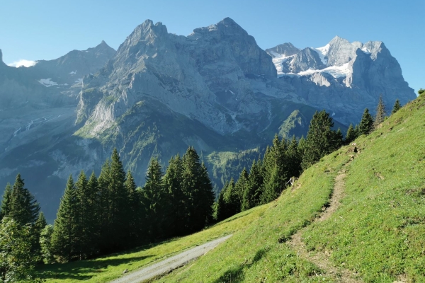 Promenade à l’Alp Grindel