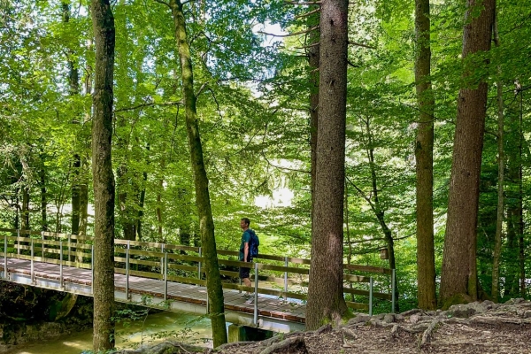 Familienwanderung durch die lauschige Wissbachschlucht