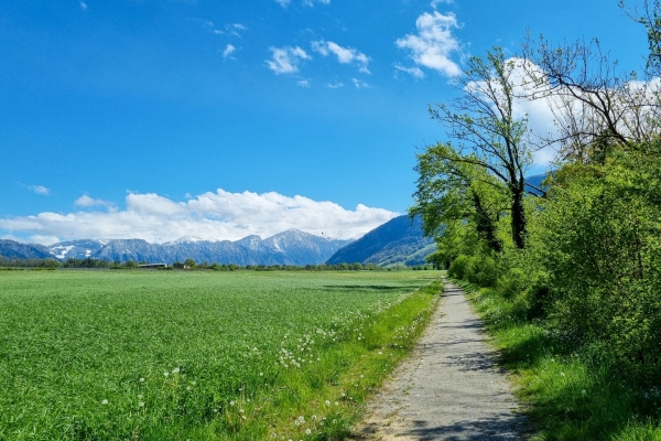 Vorbei an Reben und Burgen durch die Bündner Herrschaft