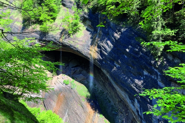 Wanderung im Quellgebiet des Neckers