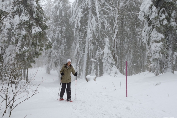 Aussichtsreiche Schneeschuhtour im Jura