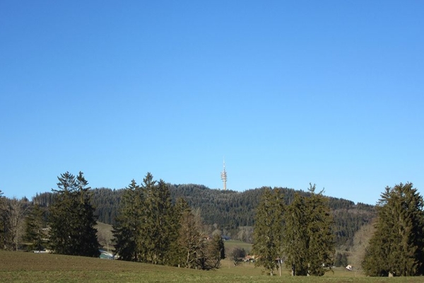 Les blocs erratiques du Gibloux