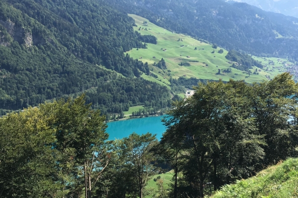 Auf dem Schmetterlingspfad von Kaiserstuhl nach Turren