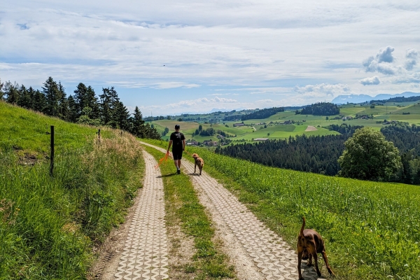 Gemütliche Wanderung am Rande des Emmentals