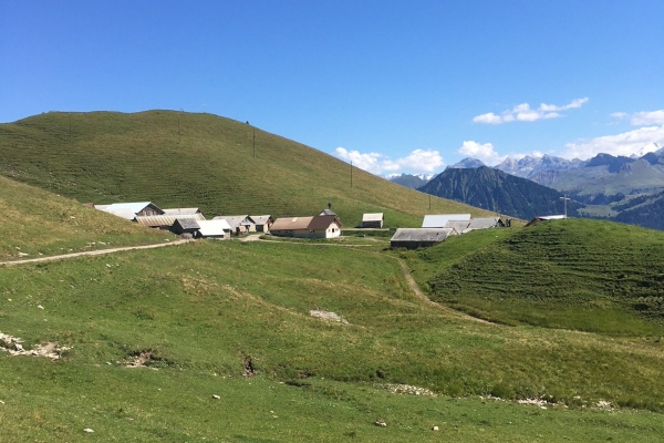 Aussichtsreiche Rundwanderung im Gebiet Schönbüel