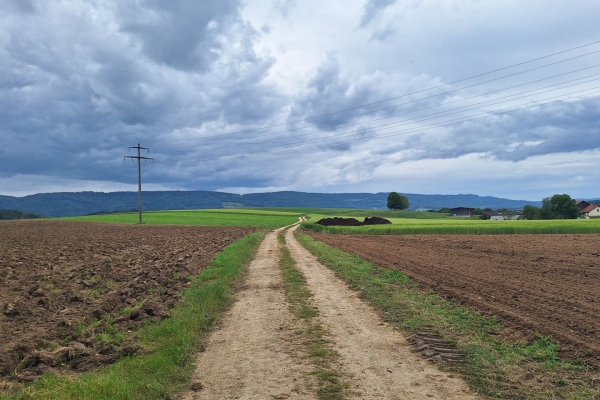 Belle quiétude en Ajoie, sur le chemin des Crêtes du Jura