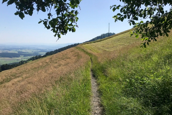 Familienwanderung durch eine Drumlinlandschaft