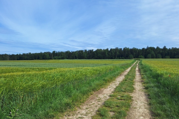 Stille erleben auf dem Jura-Höhenweg in der Ajoie