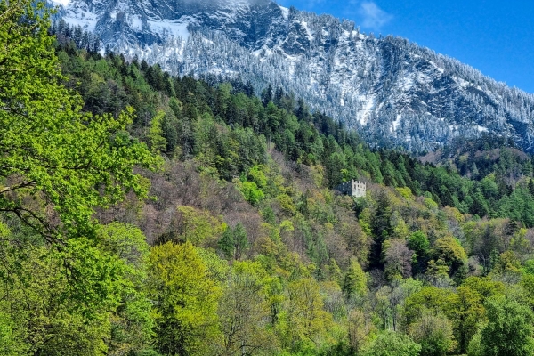 Vignes et châteaux dans la Seigneurie grisonne