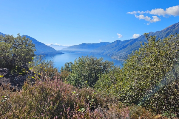 Bosco Maia e Monte Verità- luoghi mistici e naturalistici tra streghe e ranocchi