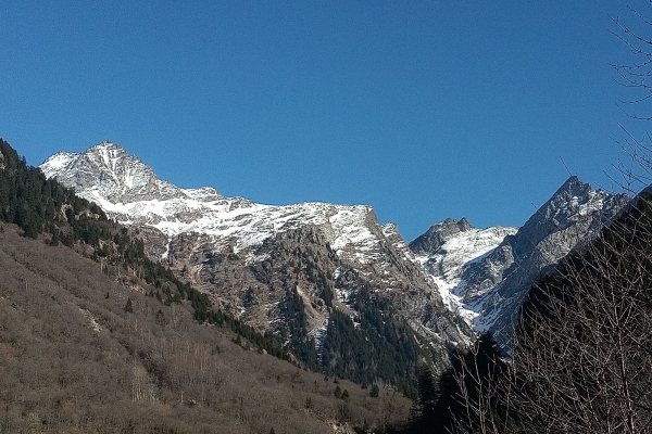 Boschi ed insediamenti della Valle del sole