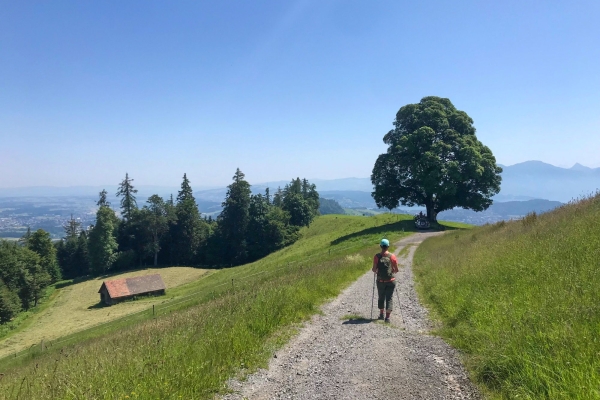 Familienwanderung durch eine Drumlinlandschaft