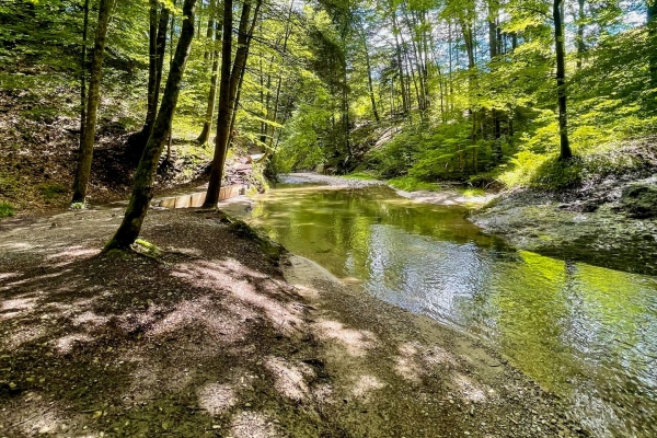 En famille dans les belles gorges du Wissbach