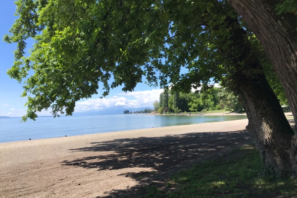 Randonnée au bord du lac Léman