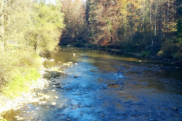 St. Gallen: Sittertobel