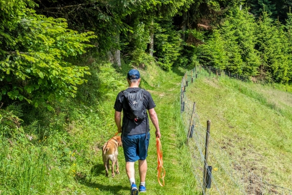 Agréable randonnée dans l’Emmental