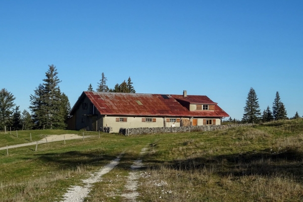 Sur le Mont Tendre dans le Parc Jura vaudois