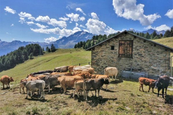 Kristallklarer Lagh dal Teo im Puschlav