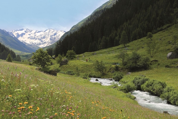 Im Hauptquellgebiet des Alpenrheins