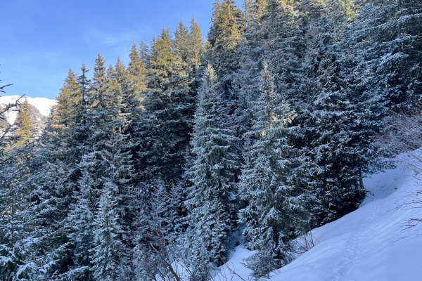 Bei den Haslizwergen im Winter