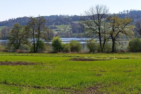 Vom Baldeggersee zum Sempachersee