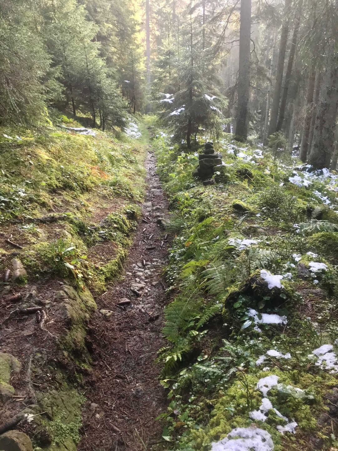 Herbst_glaubenberg