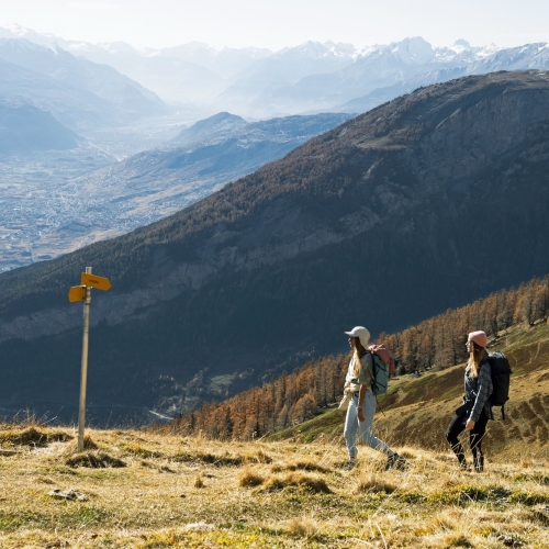 Alp Tschärmilonga VS, Herbst