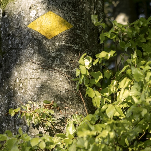 Bestätigung_Farbmarkierung_Wanderweg