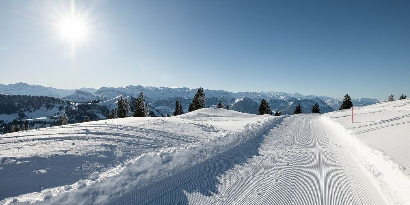 Foto: Christian Krebs, CC BY, RIGI BAHNEN AG